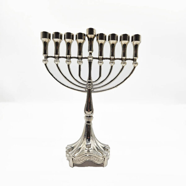 חנוכיות מעוצבות - חנות תנובת כנרת