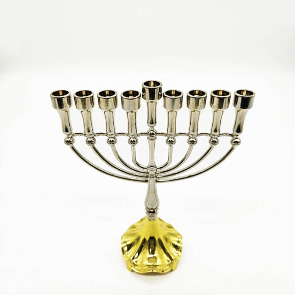 חנוכיות מרהיבות לחנוכה - תנובת כנרת