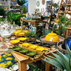 חנות תנובת כנרת-3