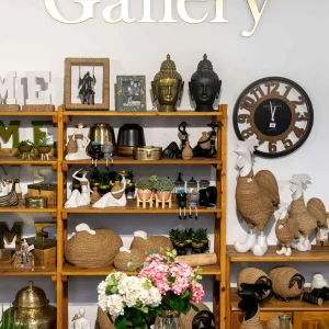 חנות תנובת כנרת-5