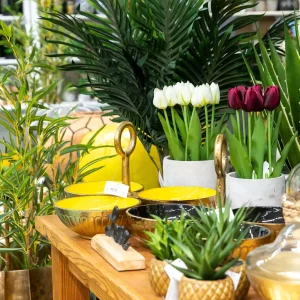 חנות תנובת כנרת-7