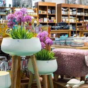 חנות תנובת כנרת-8